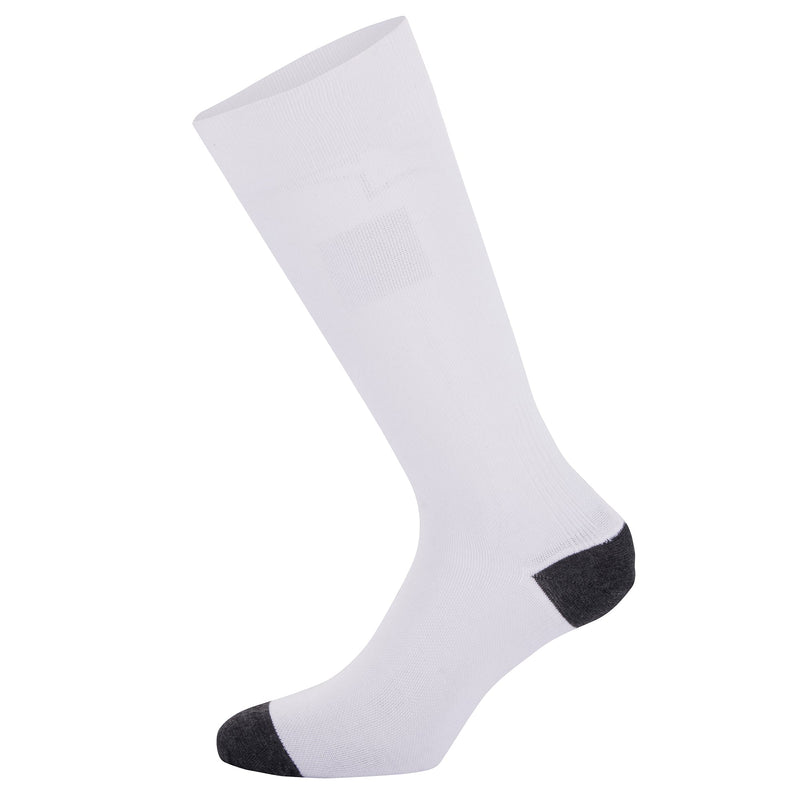 Alpinestars ZX V4 Race Car Socks - FAST RACER