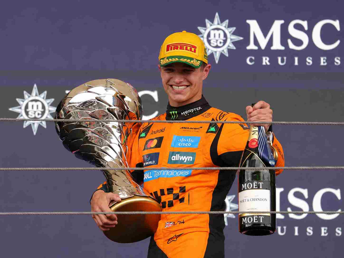 Lando Norris driver bio image - FAST RACER
