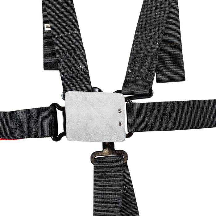 Zamp 6 Point Racing Harness 2" Pull-Up/Pull-In SFI 16.1 - Back Detail - Fast Racer