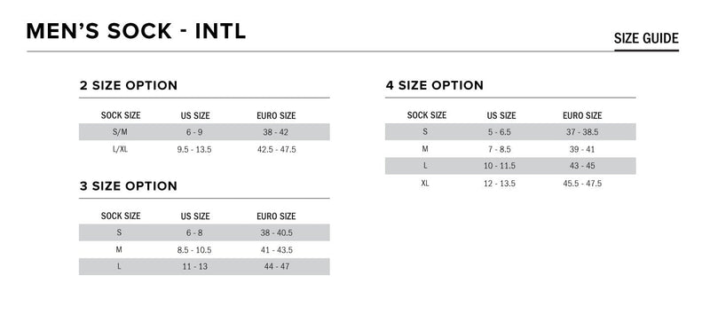 Alpinestars ZX V4 Race Car Socks - FAST RACER